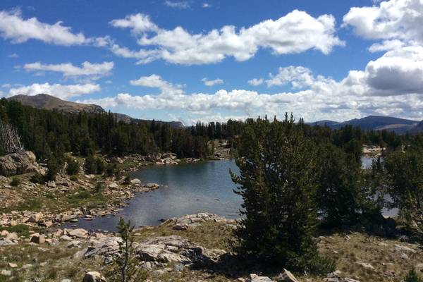 Beartooth Pass - Yellowstone National Park - Wyoming - Doets Reizen