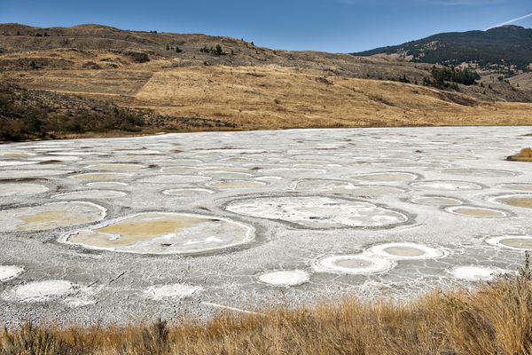 Spotted Lake - Osoyoos - British Columbia - Canada - Doets Reizen