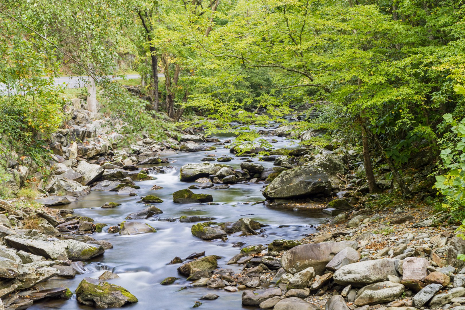 Great Smokey Mountains National Park - Tennessee - Amerika - Doets Reizen