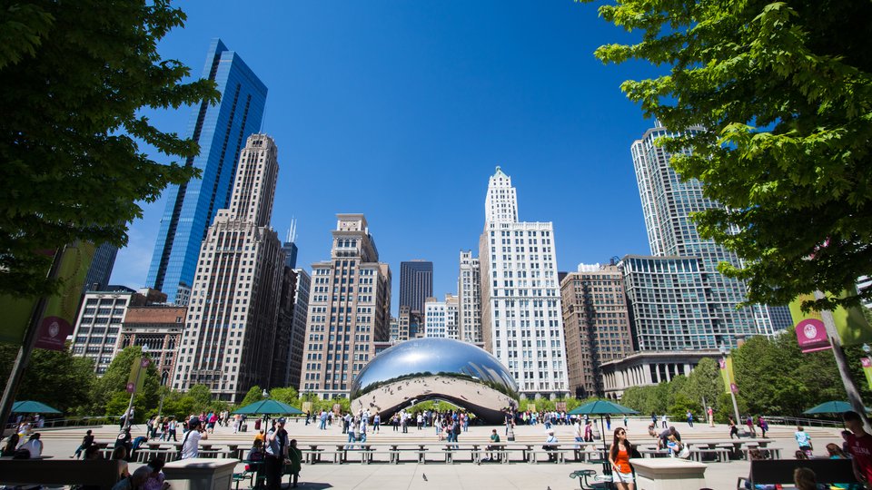 The Bean - Chicago - Illinois - Doets Reizen