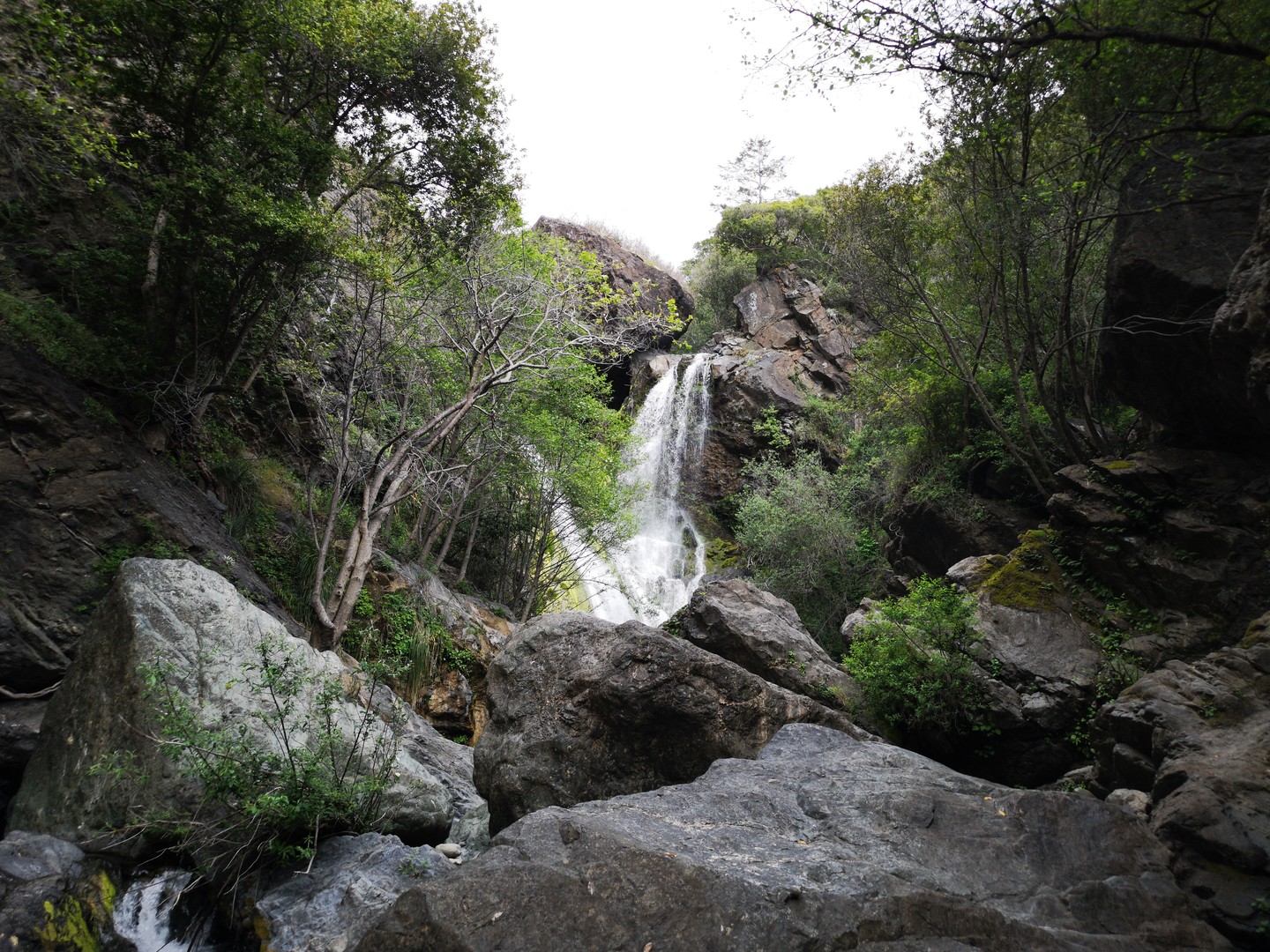 Salmon Creek Trail - Big Sur - Highway 1 - California - Amerika - Doets Reizen