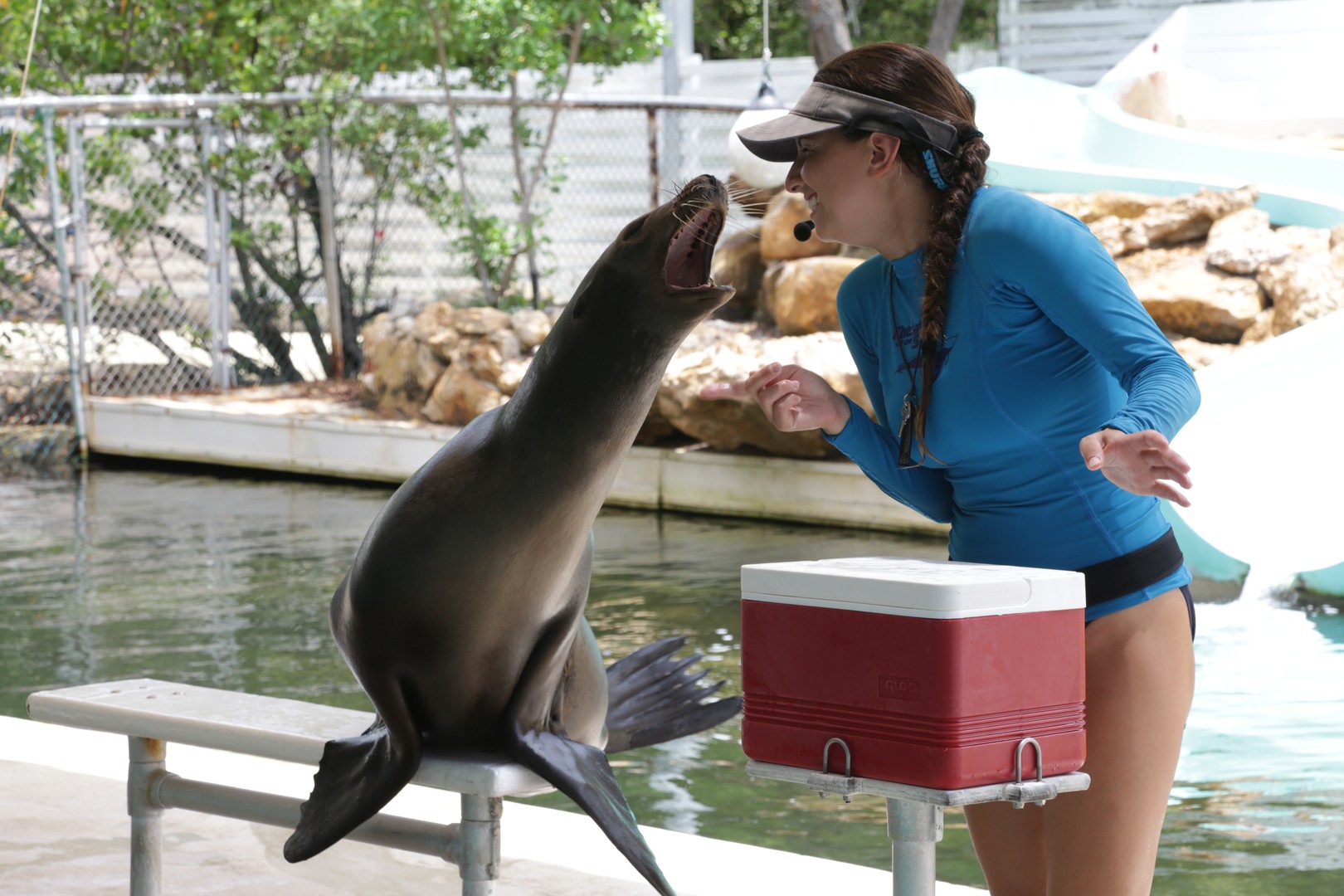 Theater of the Sea - Islamorada - The Keys - Florida - Doets Reizen