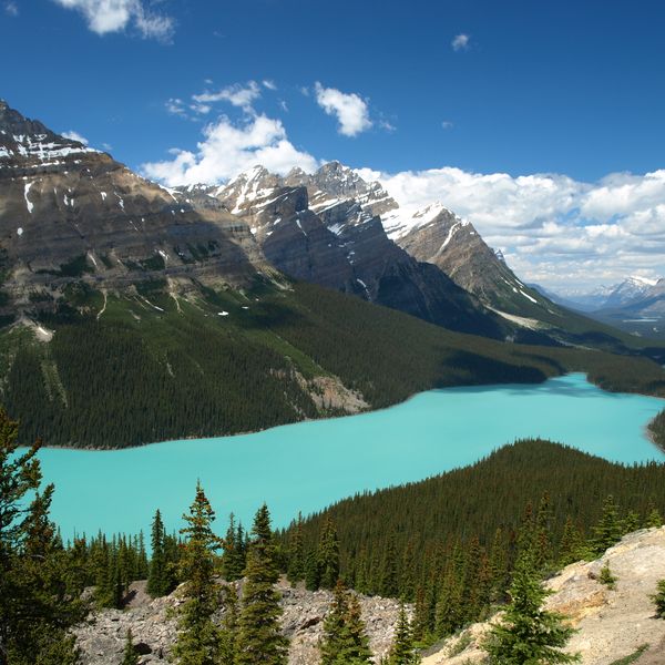 Peyto Lake - Icefields Parkway - Alberta - Canada - Doets Reizen