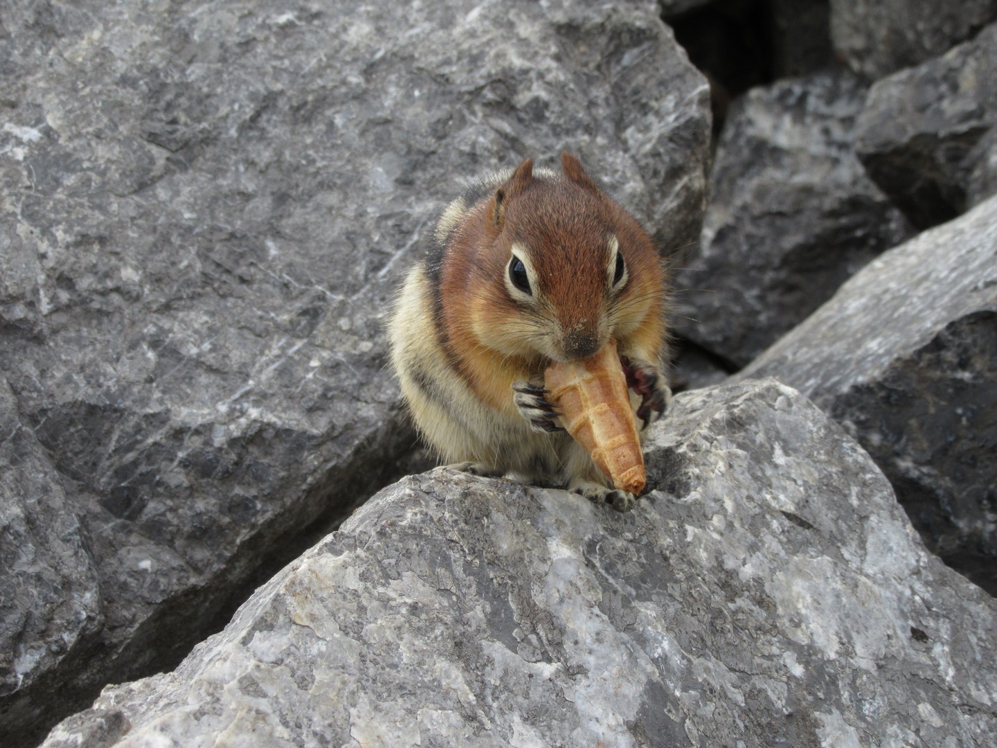 Banff National Park - Alberta - Canada - Doets Reizen