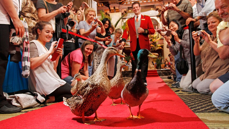 Peabody Hotel - Memphis - Tennessee - Amerika - Doets Reizen