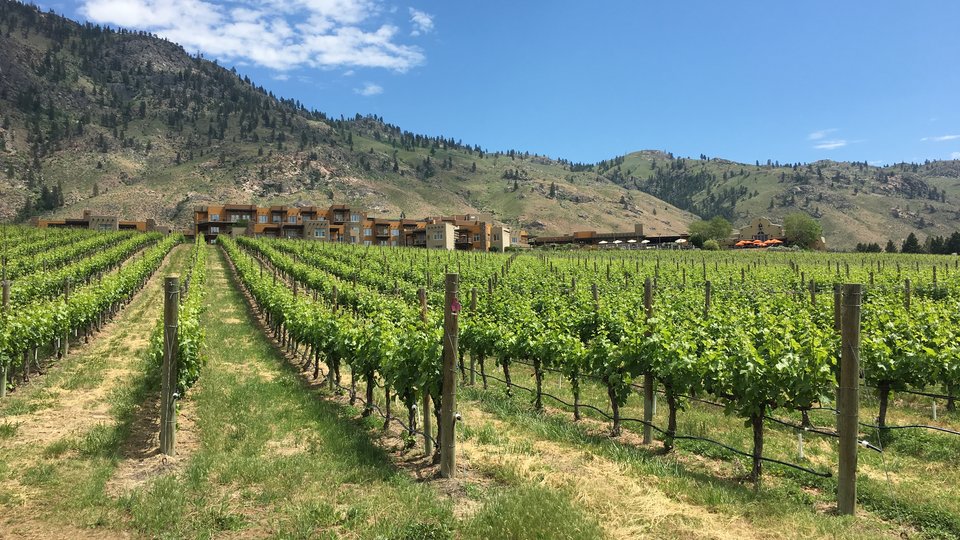 Osoyoos - Kelowna - Okanagan Valley - British Columbia - Canada - Doets Reizen