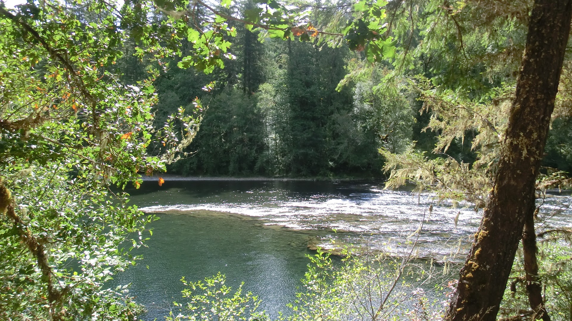 Umpqua Highway - Oregon - Doets Reizen