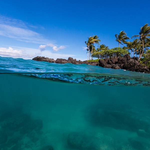 Onderwater bij het strand van het waanzinnige Kailua Kona