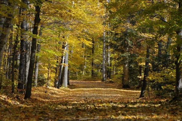 Indian Summer Algonquin Park - Ontario - Canada - Doets Reizen