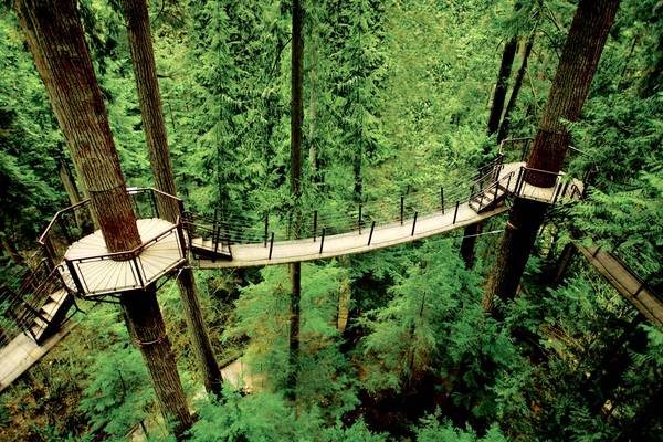 Capilano Suspenion Bridge - Vancouver - British Columbia - Canada - Doets Reizen