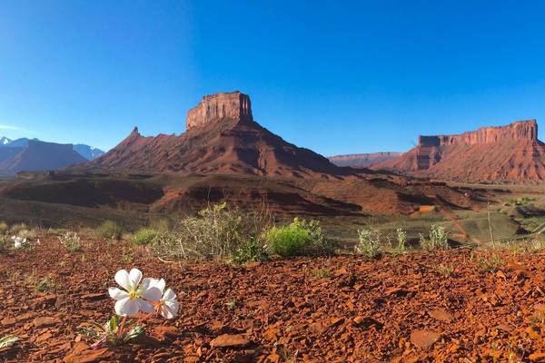 Sorrel River Ranc - Moab - Arches National Park - Canyonlands National Park - Doets Reizen