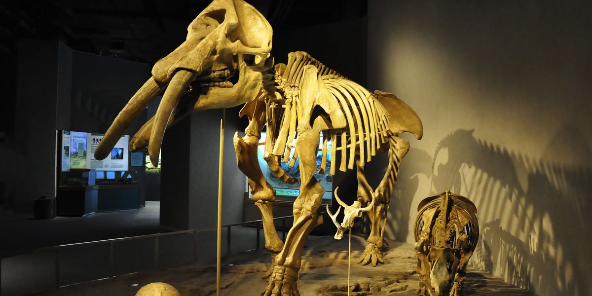 Denver Museum of Nature & Science - Denver - Colorado - Doets Reizen