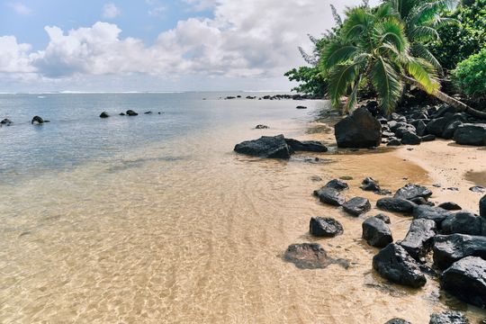 Prachtig strand in Hawaii