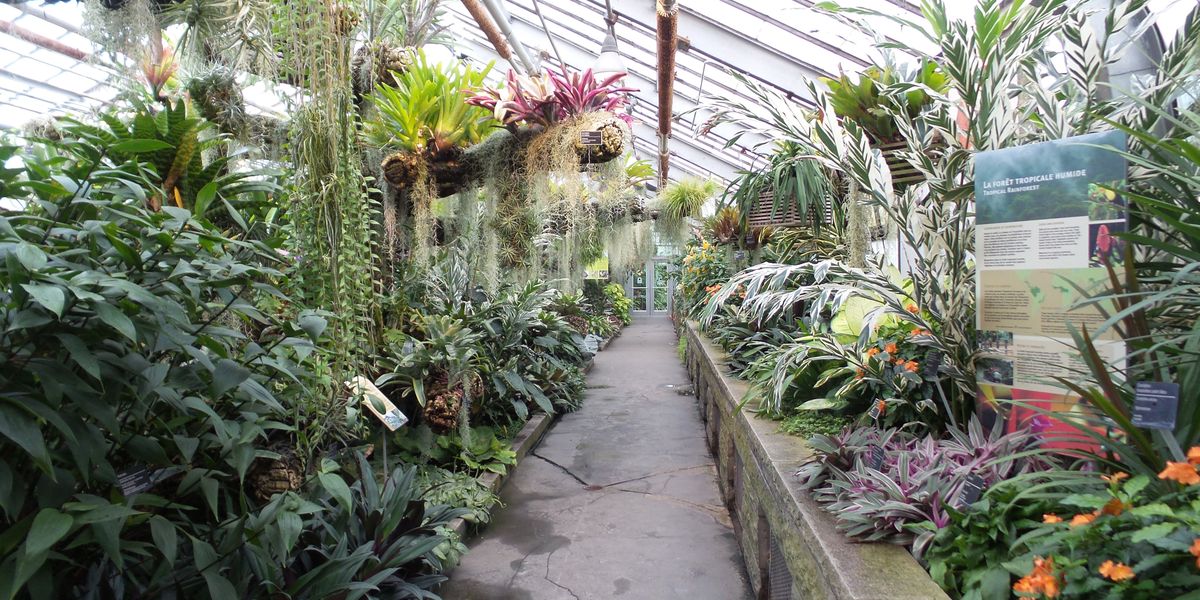 Botanische tuinen - Montreal - Quebec - Canada - Doets Reizen