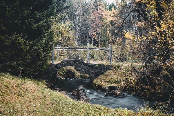 Kjarnaskógur - IJsland - Doets Reizen