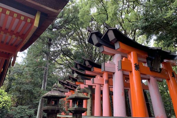 Bamboo Forest - Kyoto - Japan - Doets Reizen