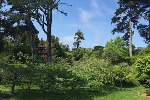 Golden Gate Park - San Francisco - California - Amerika - Doets Reizen