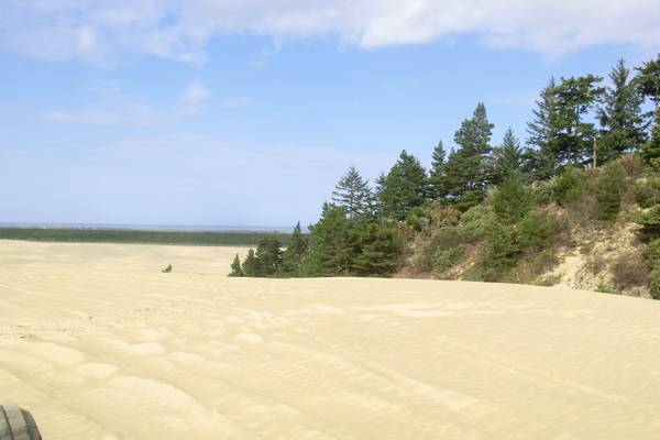 Sand Dunes - Florence - Oregon - Doets Reizen