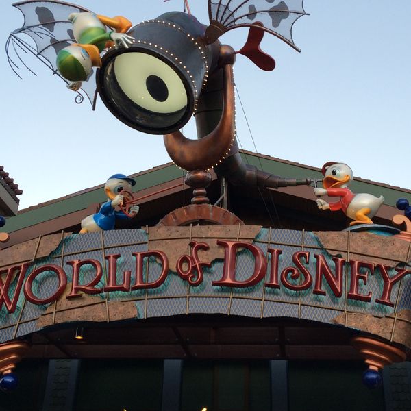 Disney - Orlando - Florida - Doets Reizen