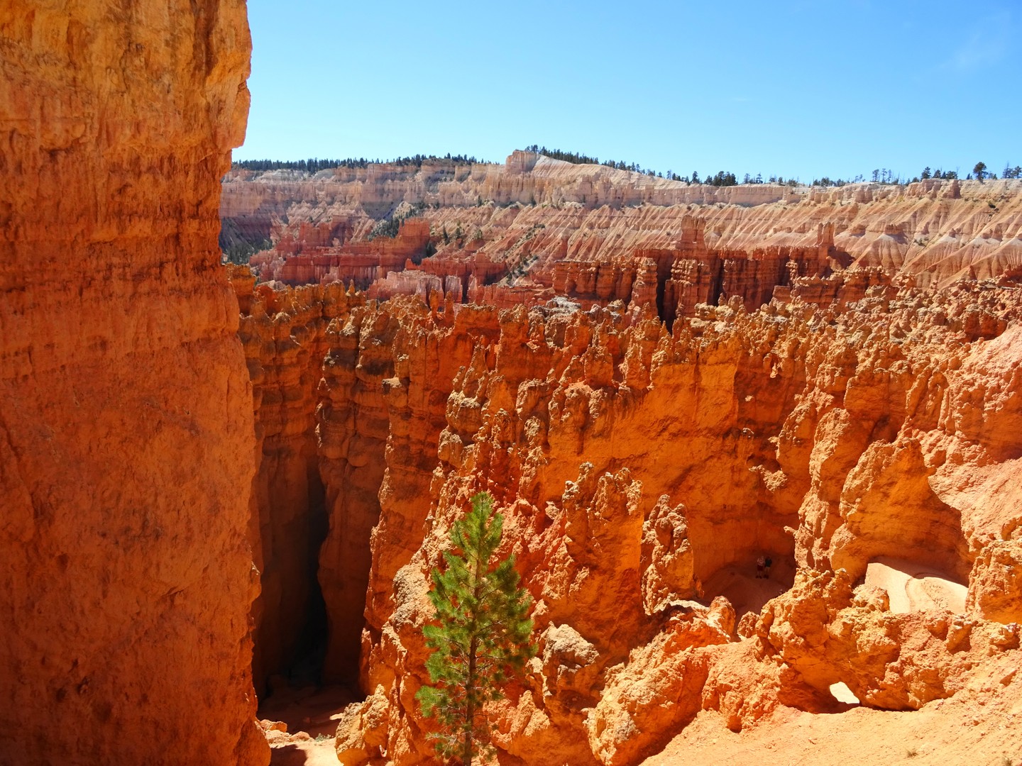 Bryce Canyon National Park - Utah - Doets Reizen