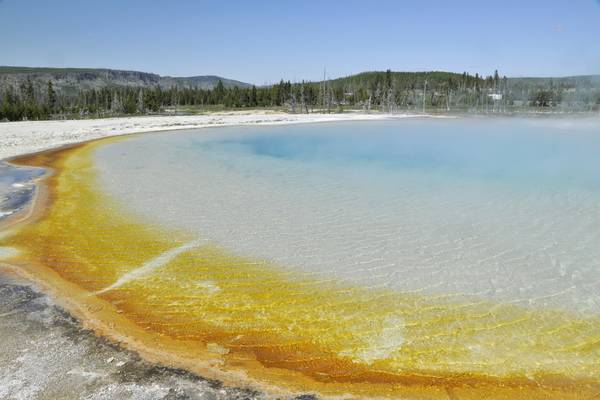 Geisers - Yellowstone National Park - Wyoming - Doets Reizen