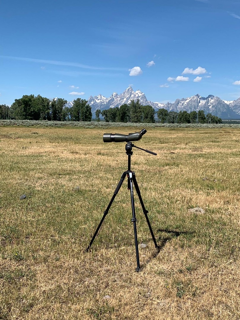 Wildlife Safari - Grand Teton National Park - Wyoming - Doets Reizen