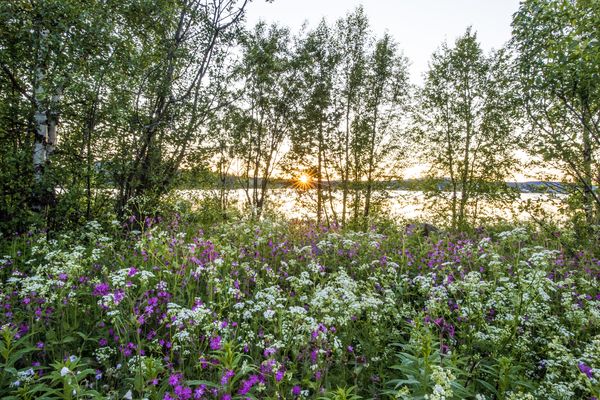 Norrbotten - Doets Reizen - Vakantie in Zweden - Credits Visit Sweden