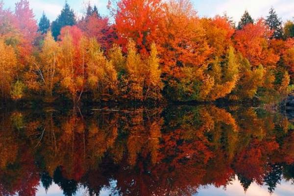 Indian Summer - Quebec - Canada - Doets Reizen