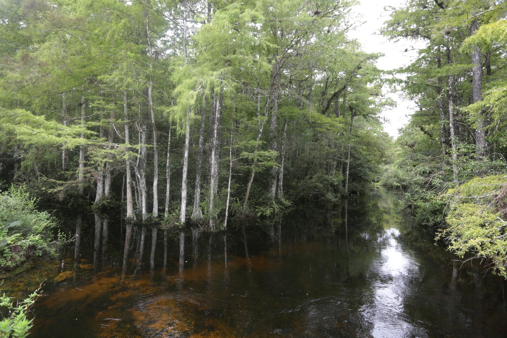 Everglades National Park - Florida - Doets Reizen