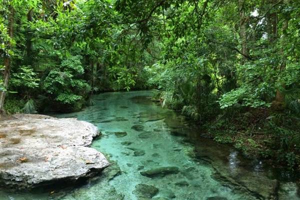 Kelly Park - Orlando - Florida - Doets Reizen