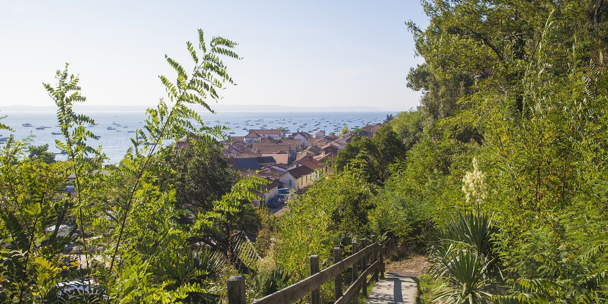 Arcachon omgeving Doets Reizen afbeelding van antoine carrion via Pixabay | Frankrijk