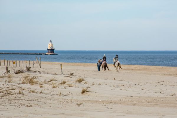 Strand Delware - Amerika - Doets Reizen