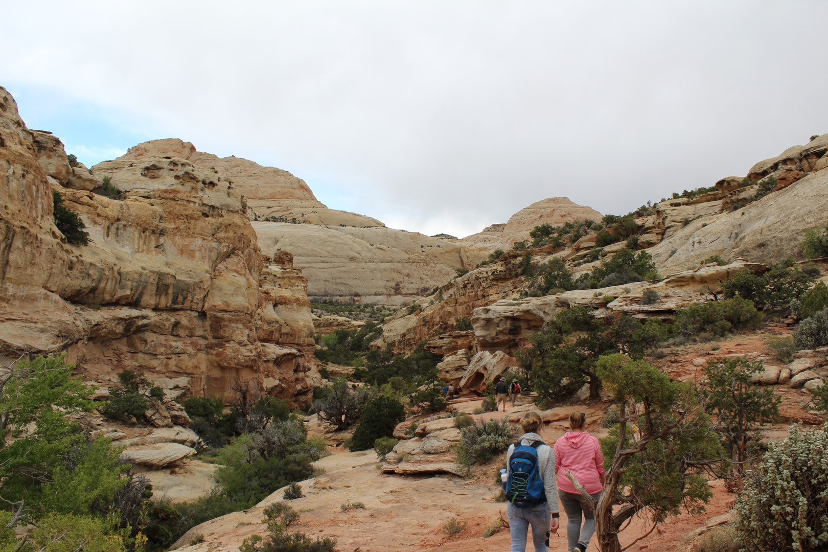 Capitol Reef National Park -  Utah - Doets Reizen
