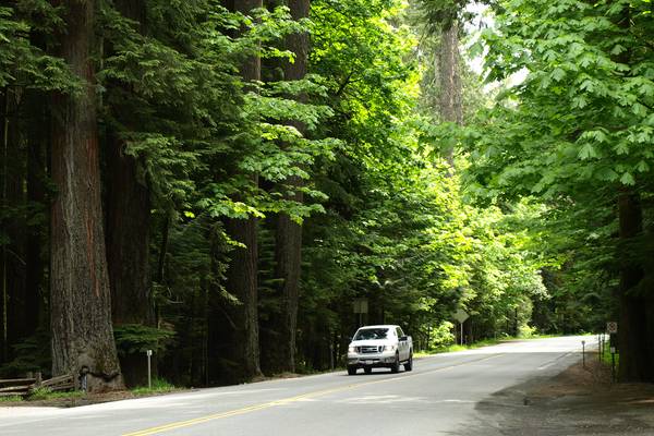 Pacific Rim National Park - Parksville - Vancouver Island - British Columbia - Canada - Doets Reizen