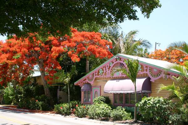 Captiva Island - Florida - Doets Reizen