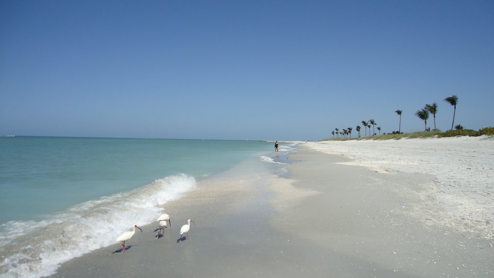 Doets Reizen - Altijd op de eerste rij, Very VIP