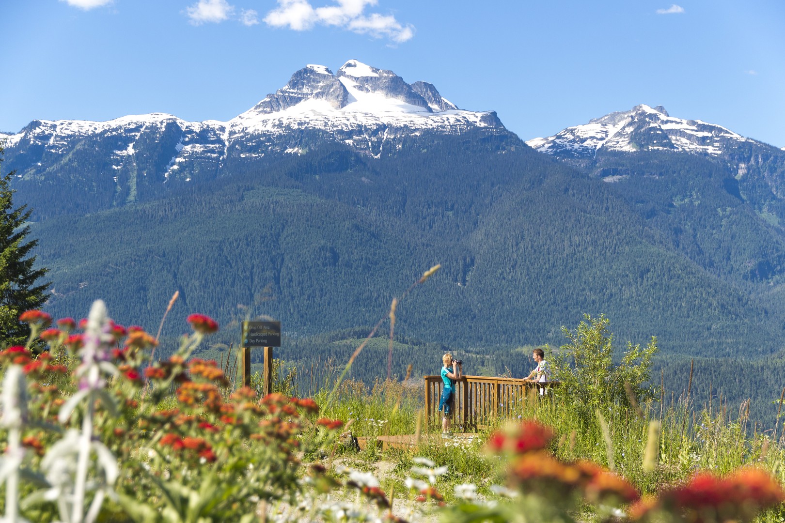 Mount Revelstoke National - British Columbia - Canada - Doets Reizen