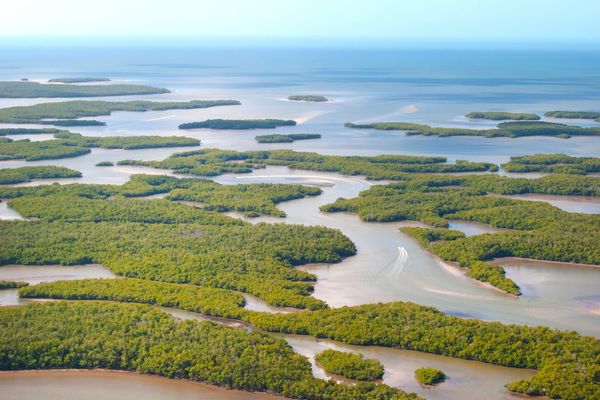 Ten Thousand Islands - Naples - Florida - Doets Reizen