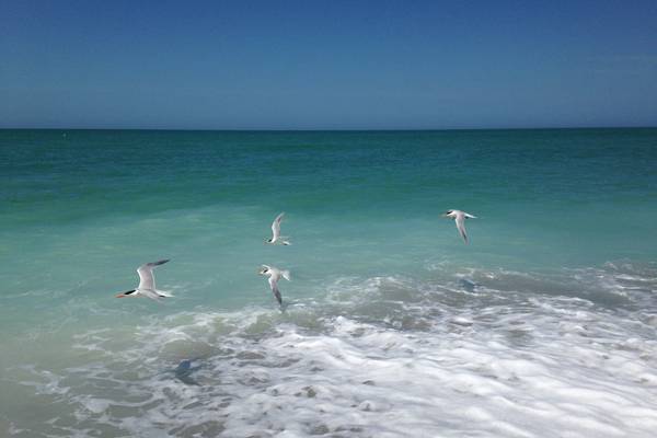 South Seas Resort - Captiva Island - Florida - Doets Reizen