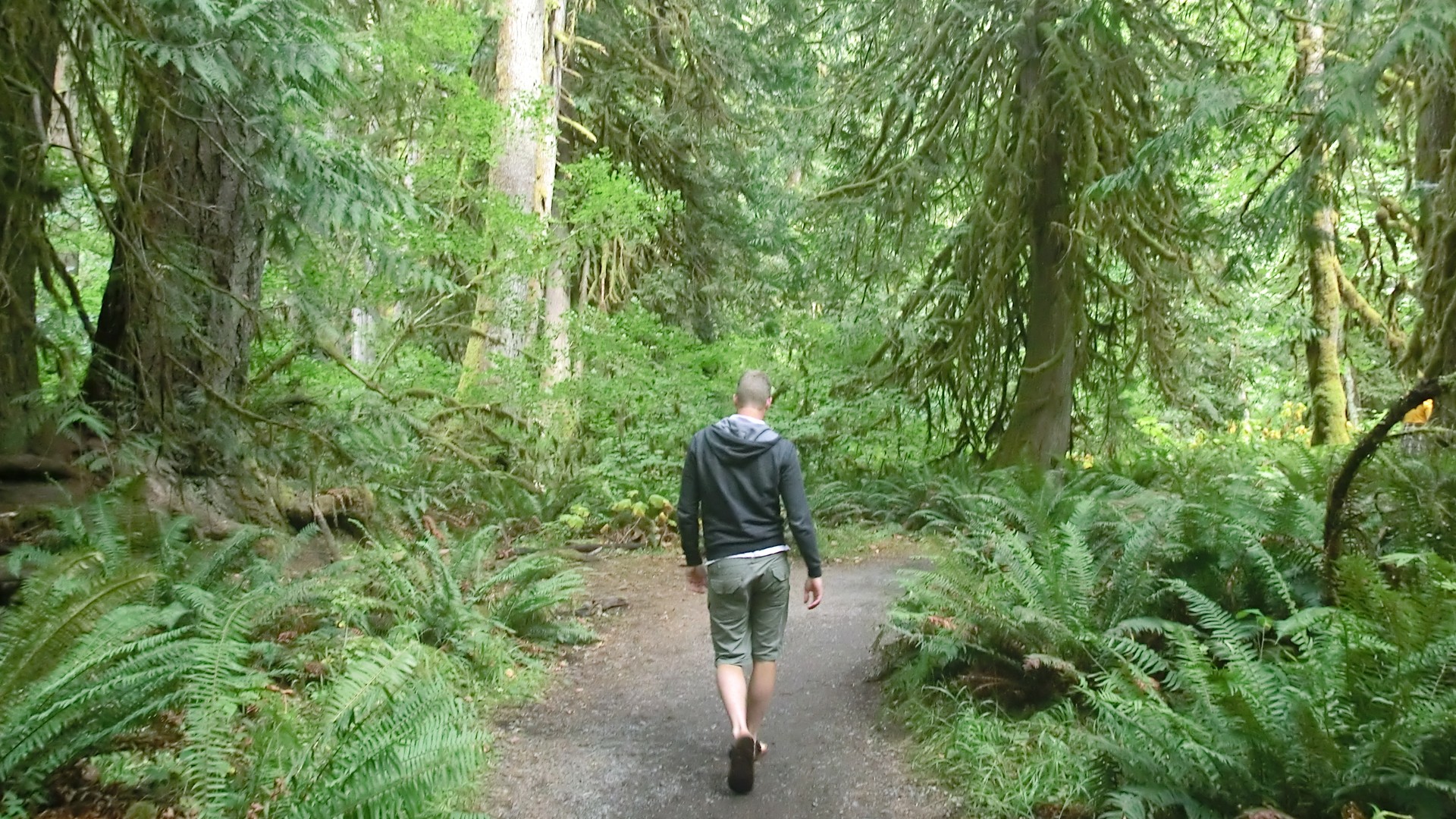 Olympic National Park - Washington State - Doets Reizen