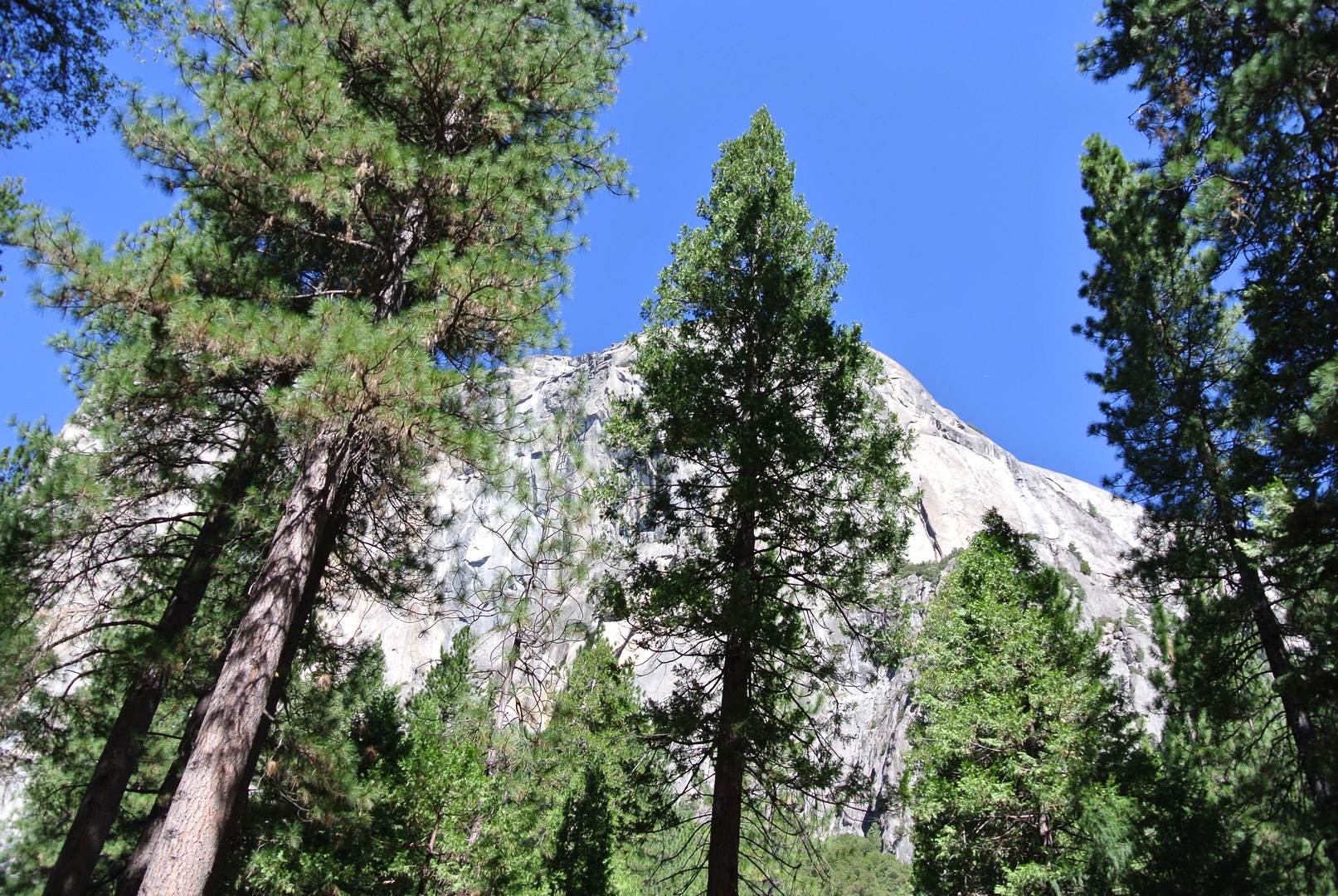 Yosemite National Park - California - Doets Reizen