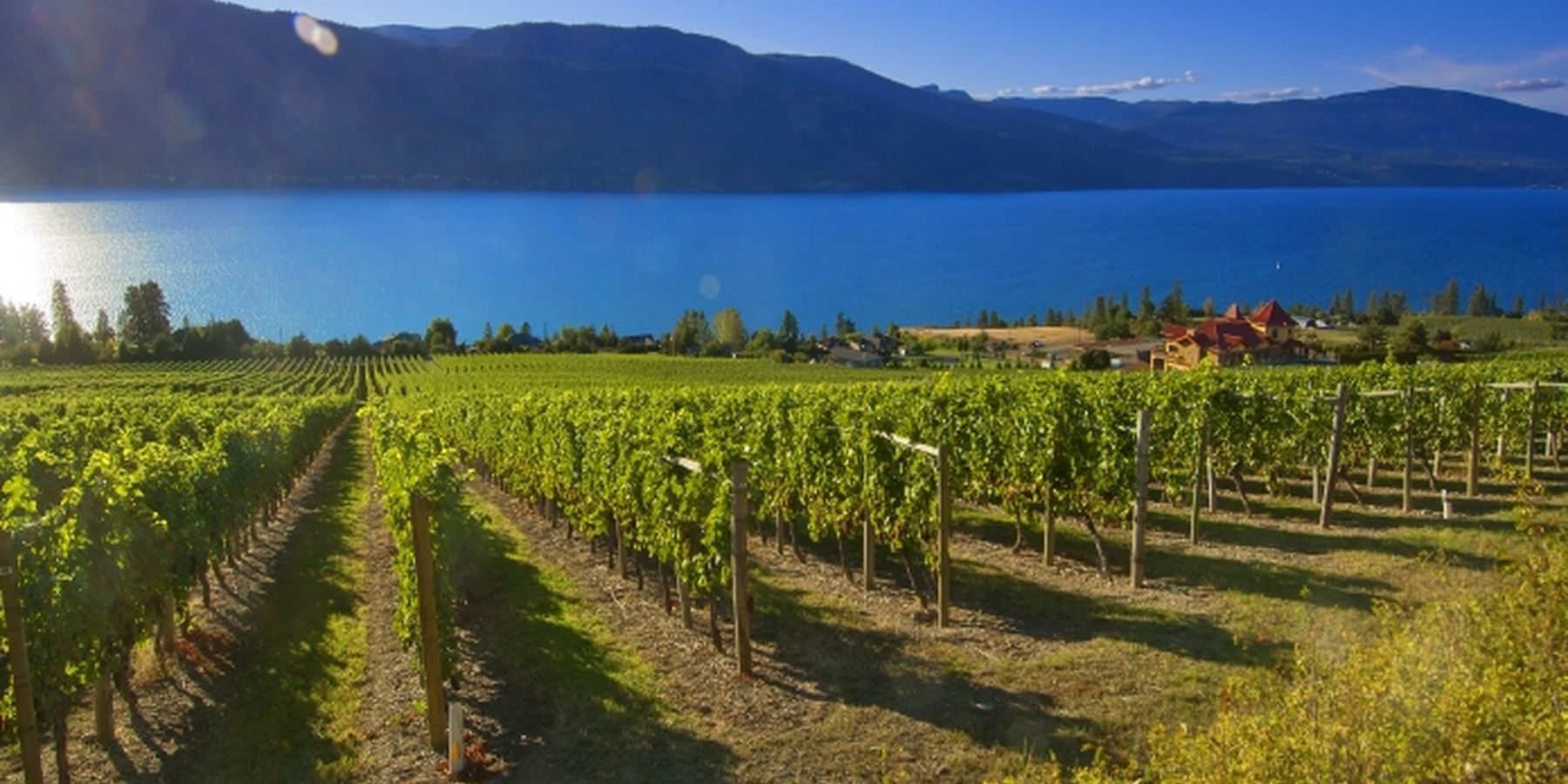 Gray Monk Estate Winery - Kelowna - Okanagan Valley - British Columbia - Canada - Doets Reizen