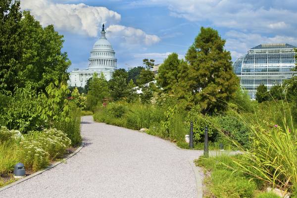 Washington D.C. - Doets Reizen