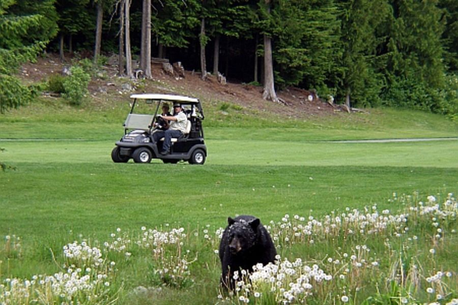 Jasper - Golf - Golfen West Canada - Doets Reizen