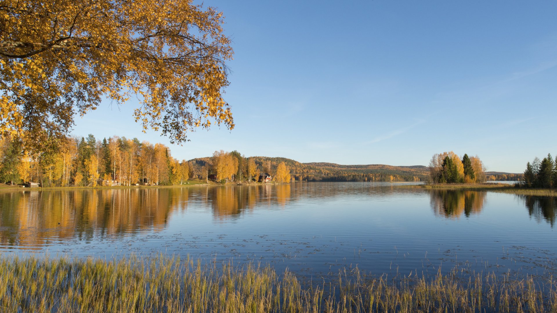 Herfst in No