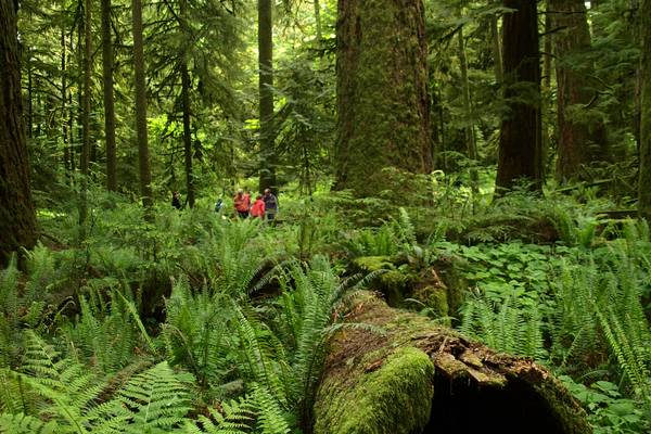 Pacific Rim National Park - Parksville - Vancouver Island - British Columbia - Canada - Doets Reizen