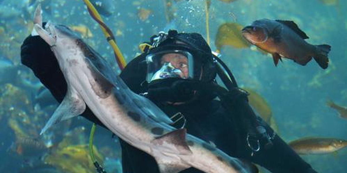 Monterey Bay Aquarium - California - Amerika - Doets Reizen