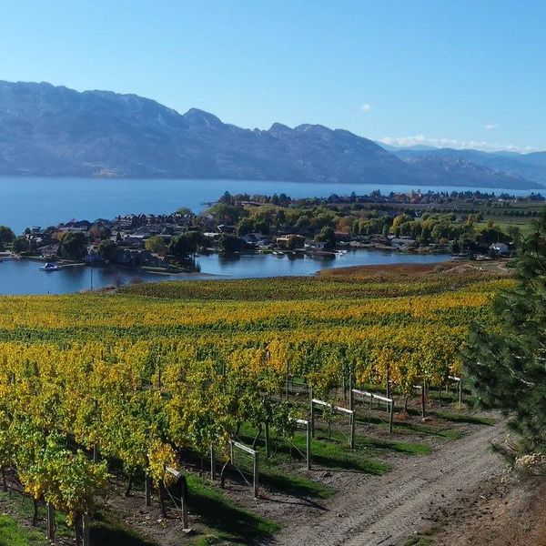 Quails' Gate - Kelowna - Okanagan Valley - British Columbia - Canada - Doets Reizen