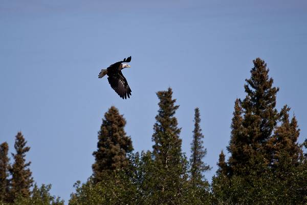 Churchill - Manitoba - Canada - Doets Reizen