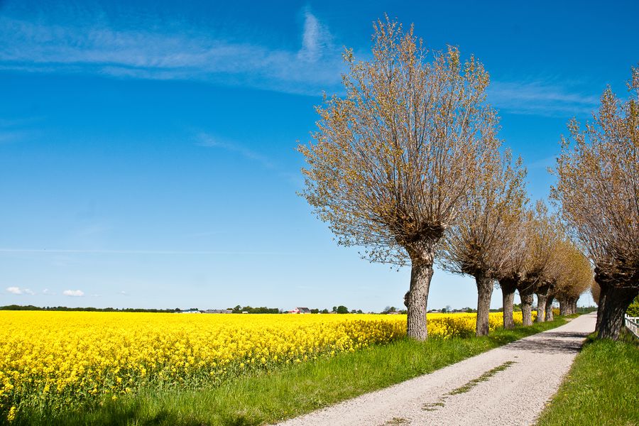 Skåne - Doets Reizen - Vakantie Zweden - Credits Måns Fornander & Visit Sweden